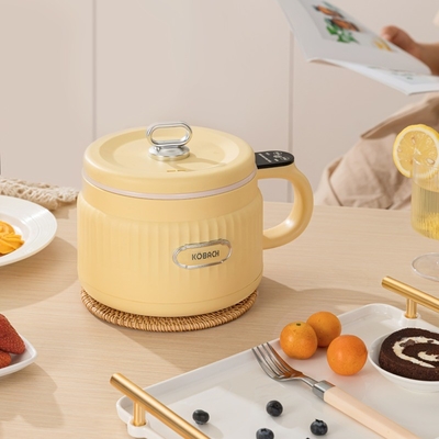 Nouveauté Cadeau Cuisinière à riz multifonctionnelle 1,6L Exquise capacité pour le jour du fou d'avril