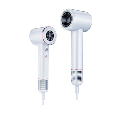 Personnaliser la vitesse sans pinceau moteur salon sèche-cheveux Styler pour les soins capillaires Logo du client