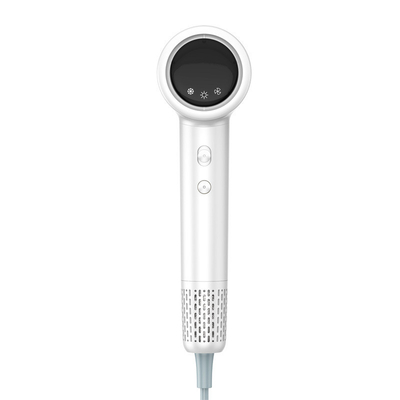 Personnaliser la vitesse sans pinceau moteur salon sèche-cheveux Styler pour les soins capillaires Logo du client