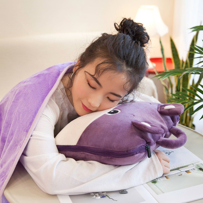 Couette et coussin multifonctionnels parfaits pour vos besoins de marketing B2B