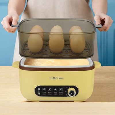 Logo personnalisé Pot de cuisson électrique multifonctionnel pour le prix de l'activité du syndicat à la fête des pères