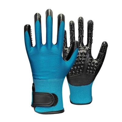 Dépilateur pour animaux de compagnie Gants à pointe métallique Massage bleu Nettoyer et éliminer les poils flottants