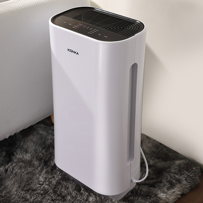 Prix du purificateur d'air à double purification pour l'activité de l'entreprise et la fête des pères