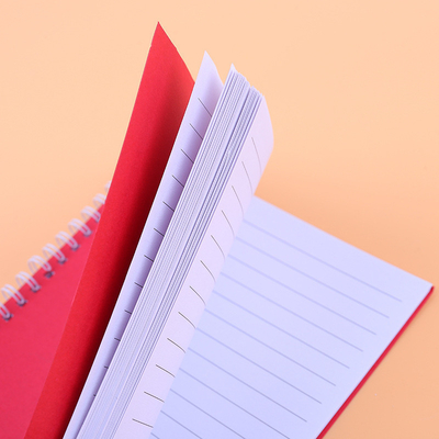 Ensemble de bloc-notes minimaliste Conception de bobine de couleur solide Couleurs multiples et papier pour 2024 Cadeau