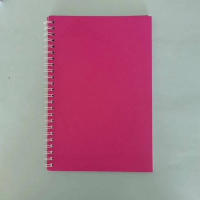 Ensemble de bloc-notes minimaliste Conception de bobine de couleur solide Couleurs multiples et papier pour 2024 Cadeau
