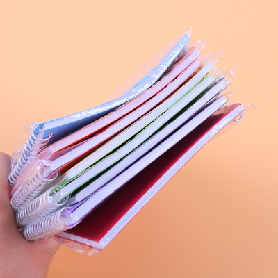 Ensemble de bloc-notes minimaliste Conception de bobine de couleur solide Couleurs multiples et papier pour 2024 Cadeau