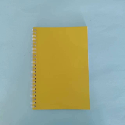 Ensemble de bloc-notes minimaliste Conception de bobine de couleur solide Couleurs multiples et papier pour 2024 Cadeau