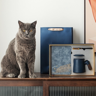 Nouveauté Cadeaux Ceinture en céramique Tisane filtrée Separation de tasse de bureau Commercial Set cadeau tasse de poignée en bois