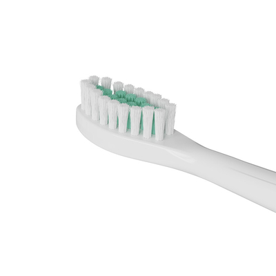 Relations avec les anciens élèves Brosse à dents et brosse à dents électrique